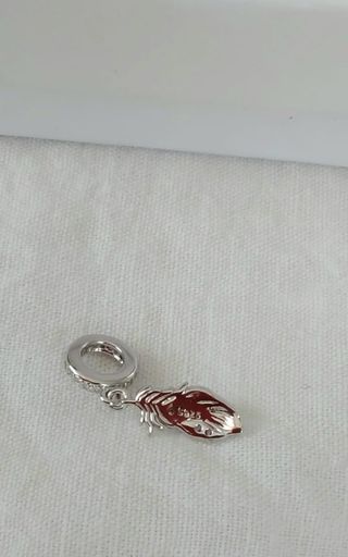 Charm Encanto de Pluma plata de ley