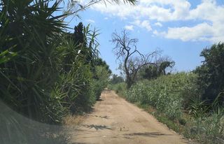 Solar en venta en Sant Joan-Vilarromà en Palamós