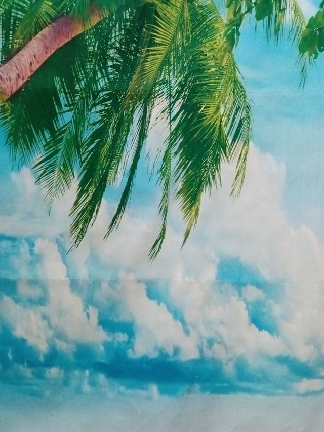 Sfondo fotografico sulla spiaggia tropicale