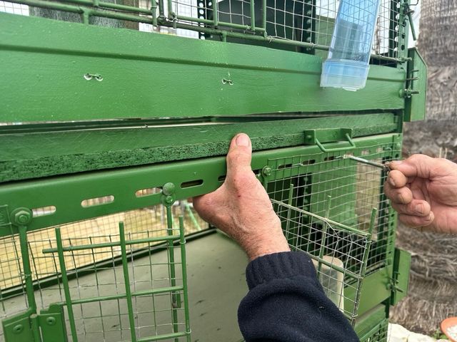 Perdigonera y/o pajarera