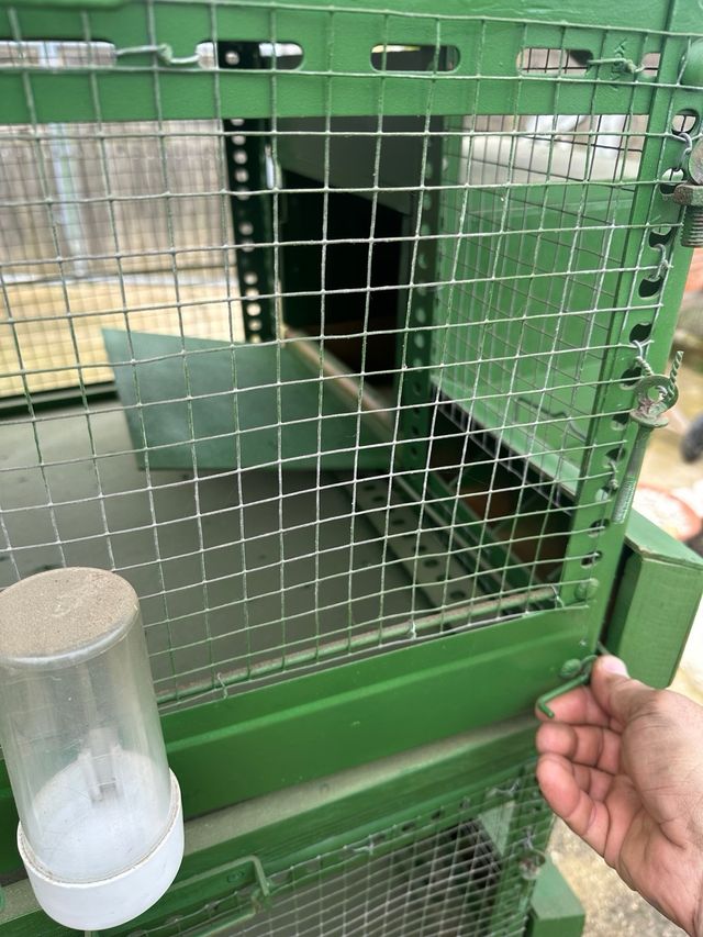 Perdigonera y/o pajarera