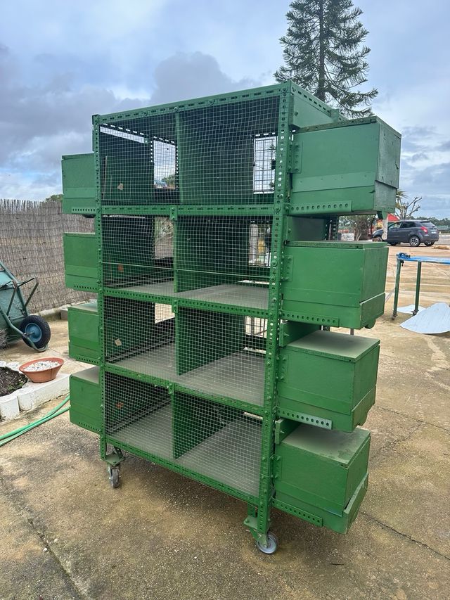 Perdigonera y/o pajarera