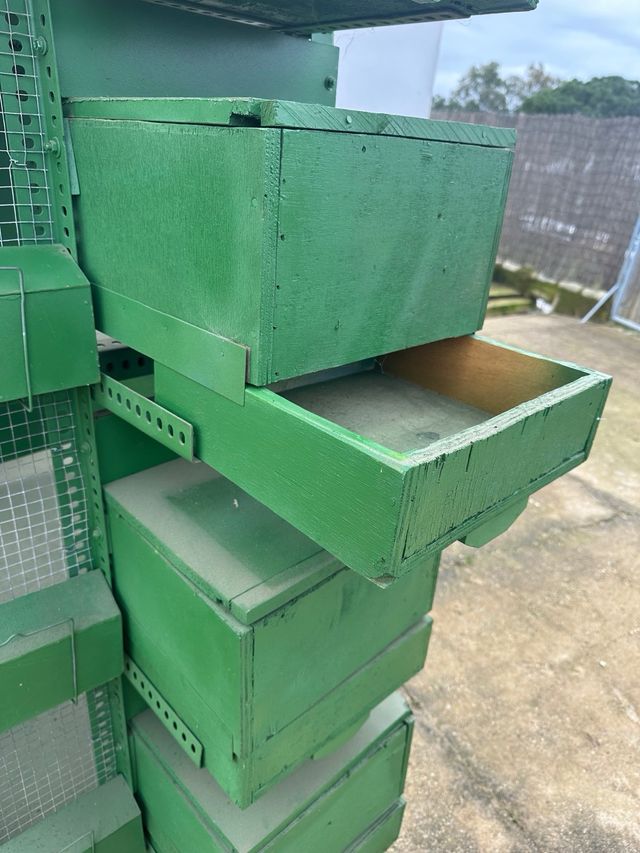 Perdigonera y/o pajarera