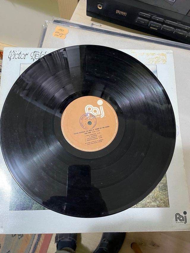 Lp Victor Fieldman a secret of the andes