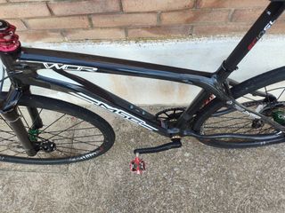 CUADRO MSC WCR CARBONO 26