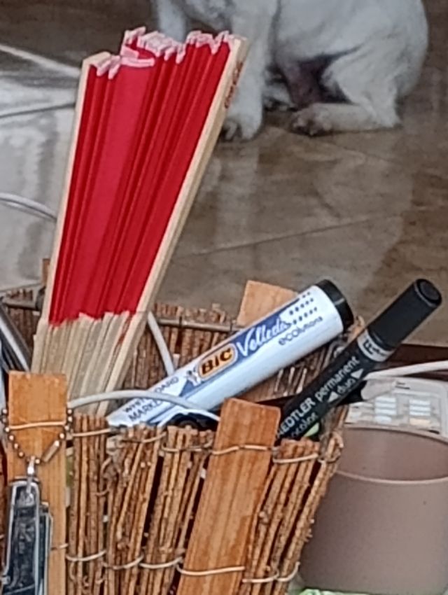 Boli bic y regalo consola RS36