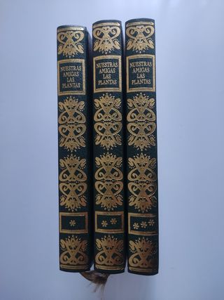 NUESTRAS AMIGAS LAS PLANTAS