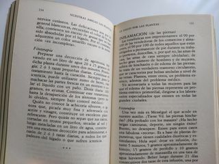 NUESTRAS AMIGAS LAS PLANTAS