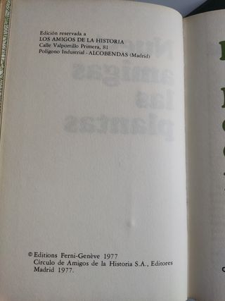 NUESTRAS AMIGAS LAS PLANTAS