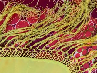 Falda flamenca niña con mantocillo