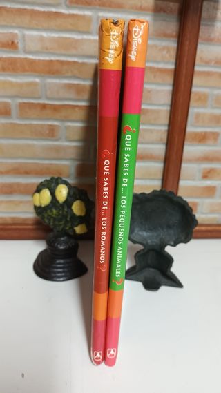 QUE SABES PEQUEÑOS ANIMALES LOS ROMANOS