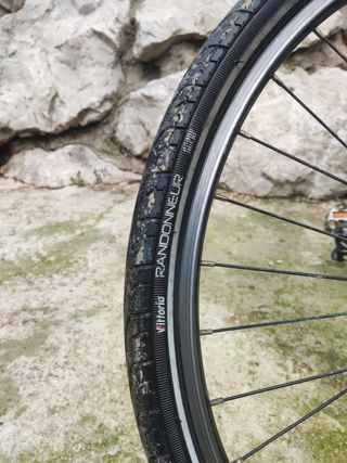 Bicicleta Grisley talla L