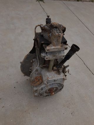 Vendo  hasperos estado bien.