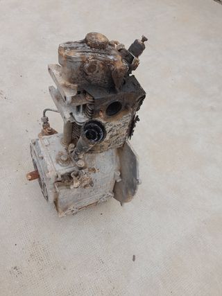 Vendo  hasperos estado bien.