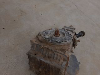 Vendo  hasperos estado bien.