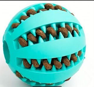 Peluquero canino, paseador canino, cuidado animale