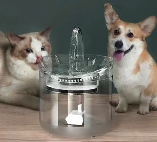 Peluquero canino, paseador canino, cuidado animale