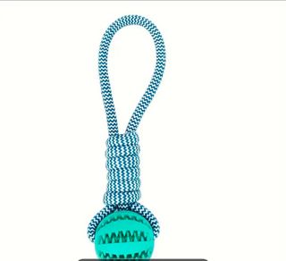 Peluquero canino, paseador canino, cuidado animale