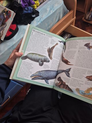 El porqué de las cosas.Naturaleza y ciencia