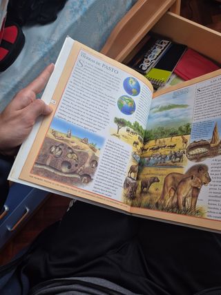 El porqué de las cosas.Naturaleza y ciencia