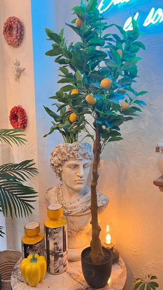 Limonero artificial - elegancia cítrica