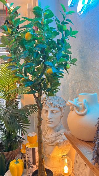 Limonero artificial - elegancia cítrica