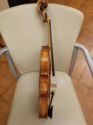 Violín profesional