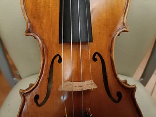 Violín profesional