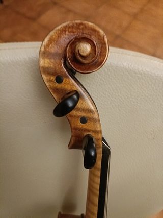 Violín profesional