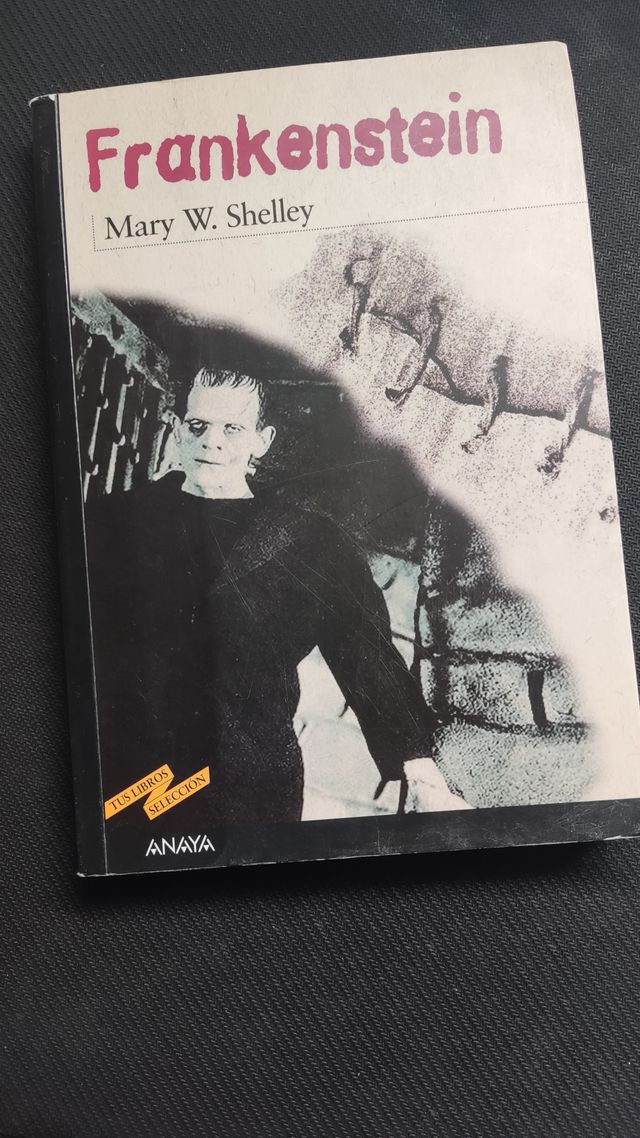 Libro Frankenstein Mary W.Shelley