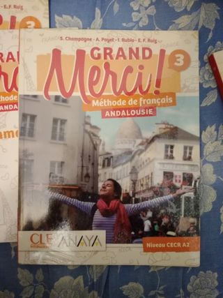 Lote de libros Anaya francés 3 de la eso