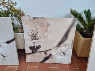 Cuadros decorativos