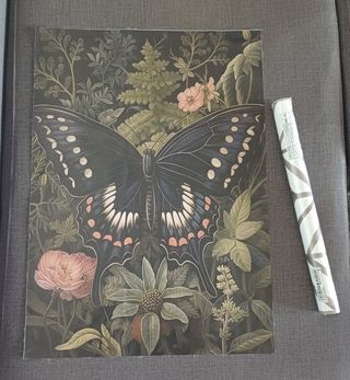 Rollo Vinilo y lámina mariposa.