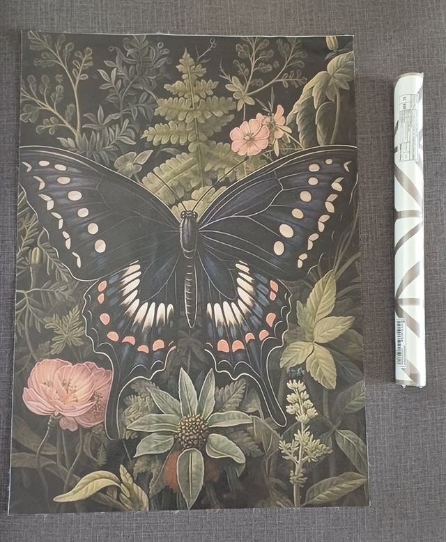 Rollo Vinilo y lámina mariposa.