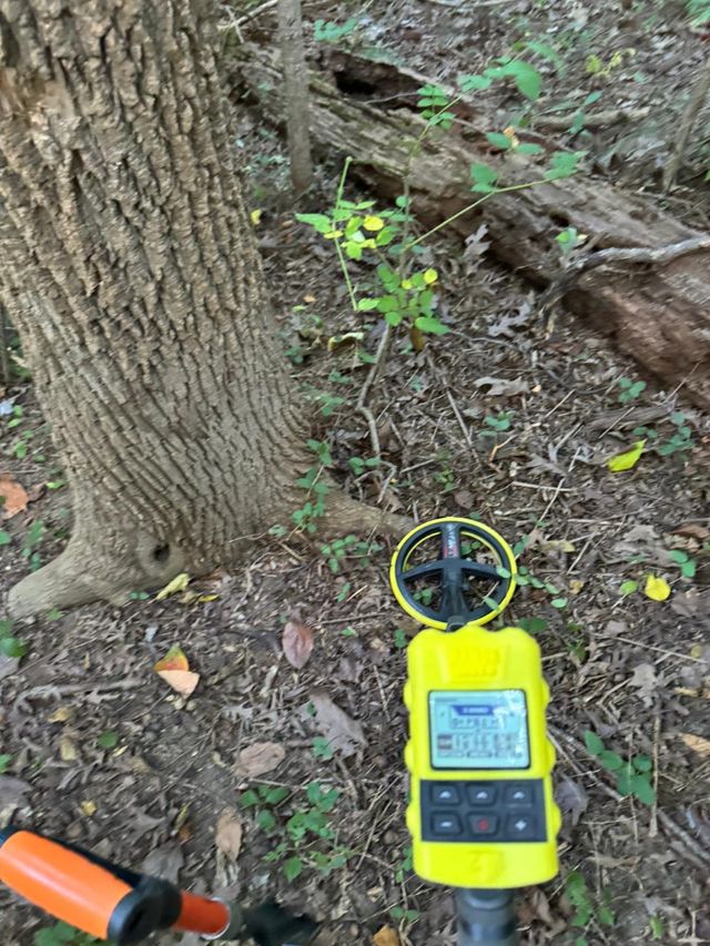 Protector de plato XP DEUSII 22.