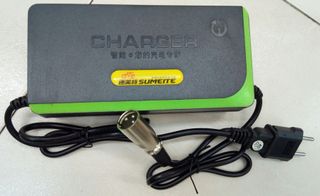 Cargador patinete 48V para Raycool y otras marcas