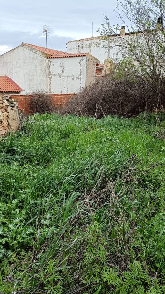 REF 25021- Solar en Cañada de Calatrava