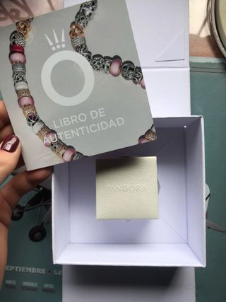 Pandora Charm Dama Disney