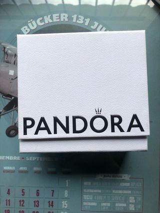 Pandora Charm Dama Disney