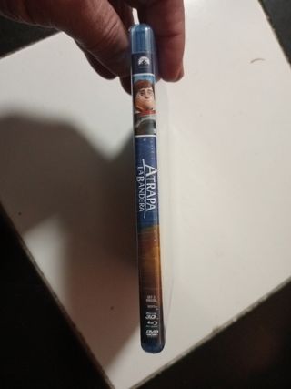 Atrapa la bandera 3D