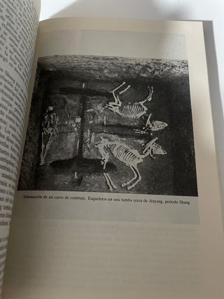 Las culturas superiores de Asia Central