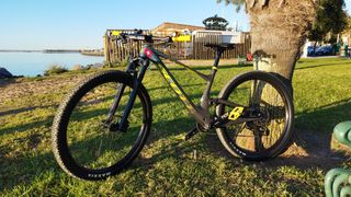 Scott Spark RC Carbono
