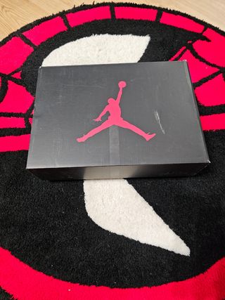 Jordan 6 carmine 2021 talla 43