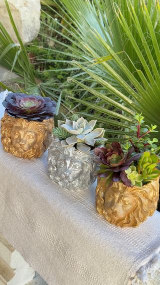 maceta / león/ escultura