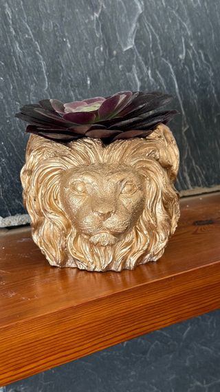 maceta / león/ escultura