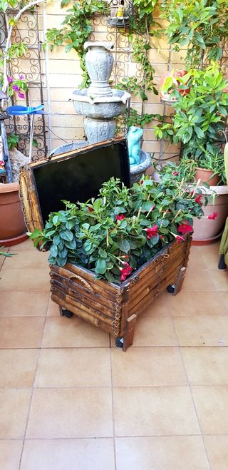 Baúl y macetero para decoración hec Bamb