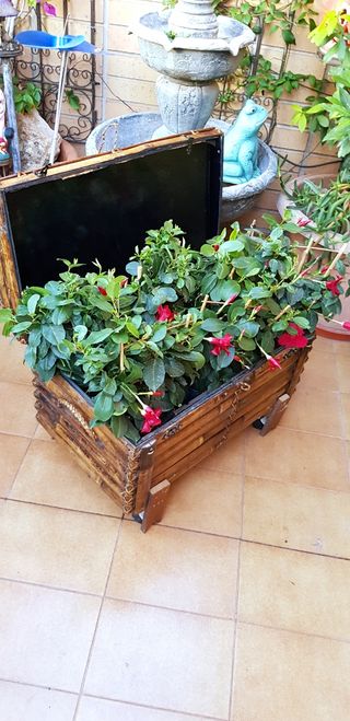 Baúl y macetero para decoración hec Bamb