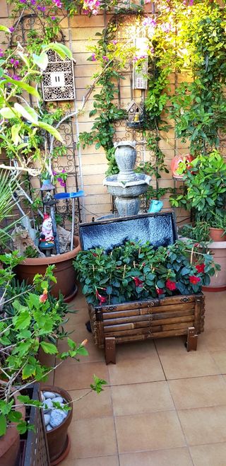 Baúl y macetero para decoración hec Bamb