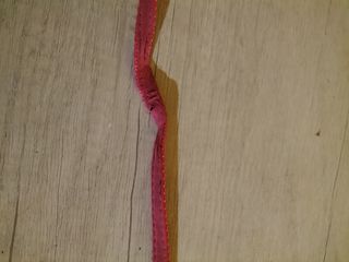 Collare e guinzaglio per gatti