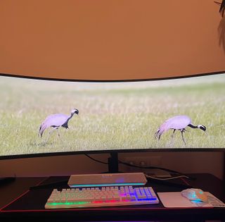 Monitor Samsung Odyssey 49" Mod. C49G95TSSR